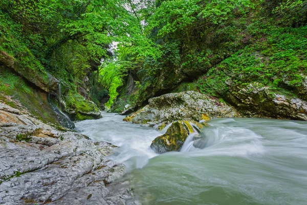 Potok v kaňonu Gachedili, Georgia, divoké místo — Stock fotografie