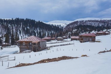 Kışın Bakhmaro, Guria, Georgia. Gürcistan 'daki Bakhmaro tatil beldesinin beyaz doğası. Karlı renkli ahşap evler