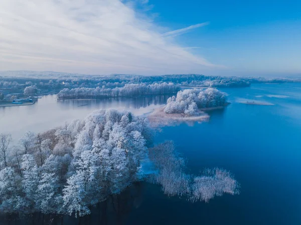 Antenn frusna träd i sjön, kall vinter bakgrund — Stockfoto