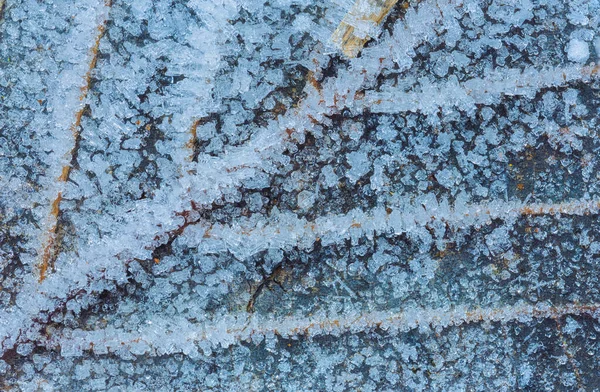 Gefrorenes Blatt mit Eiskristallen, winterlicher Hintergrund — Stockfoto