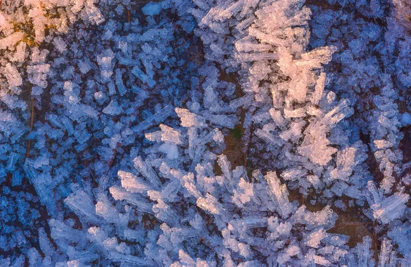 Gefrorenes Blatt mit Eiskristallen, winterlicher Hintergrund — Stockfoto
