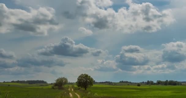 Timelapse. Vita moln rör sig snabbt över den blå himlen över ett grönt fält — Stockvideo