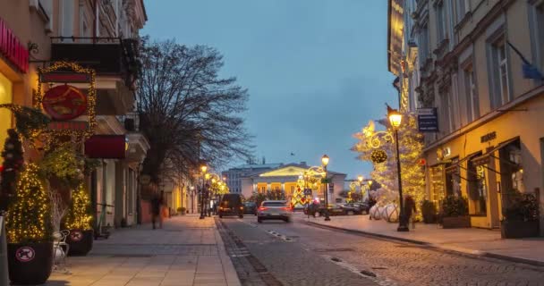 Рождественские огни и елка, время в Вильнюсе, Литва — стоковое видео