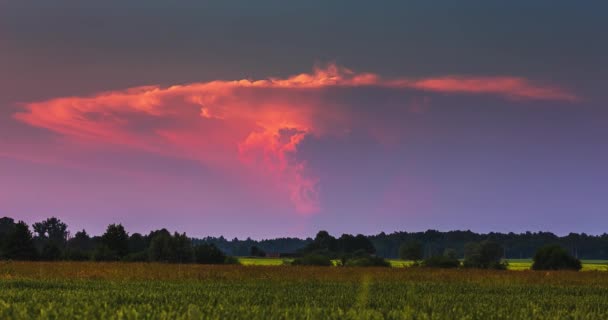 Cumulonimbus torm σύννεφο αυξάνεται στον ουρανό, ένα ισχυρό updraft, supercell σύννεφο — Αρχείο Βίντεο