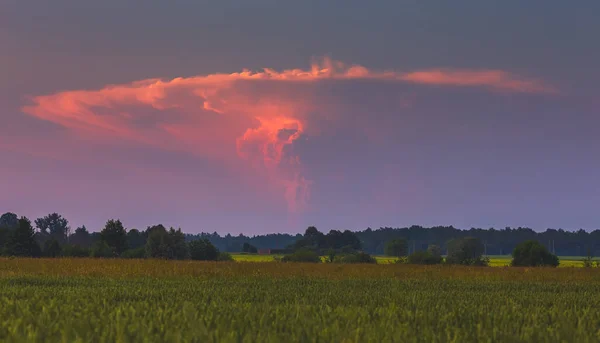 Cumulonimbus storm moln stiger i himlen, en kraftfull updraft, supercell moln — Stockfoto