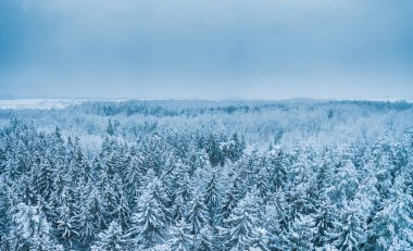 Kışın donmuş bir ormanın mavi arkaplan dokusu, üst kulak manzarası