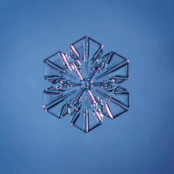 Schneeflocke auf glattem Gradienten-Hintergrund. Makroaufnahme von echtem Schneekristall auf Glasoberfläche. Das ist eine kleine Schneeflocke mit ungewöhnlichem Muster. — Stockfoto