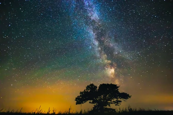 Landscape with Milky way galaxy over the oak tree — Stock Photo, Image