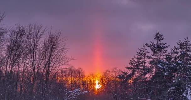 Холодный закат в зимнем лесу с солнечным светлым столбом — стоковое видео