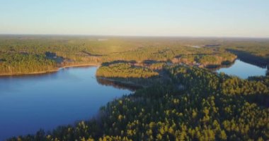 Hava aracı, altın akşam ışığında bahar ormanlarının üzerinde uçar.