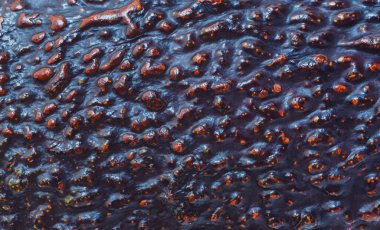 Avokadonun deri dokusunu kapat