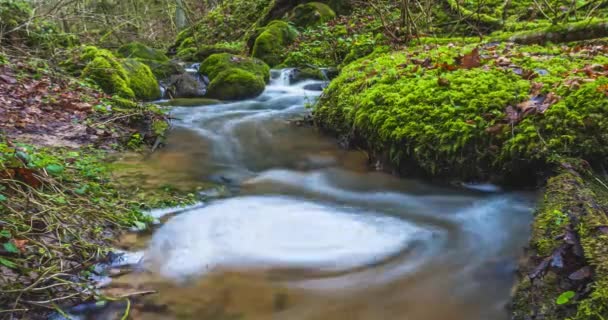 Vízibicikli forog a patakban, 4k timelapse video — Stock videók