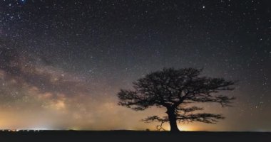 Yıldızlı gökyüzünün altında yapayalnız meşe