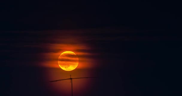 Lua Vermelha no céu noturno nublado — Vídeo de Stock