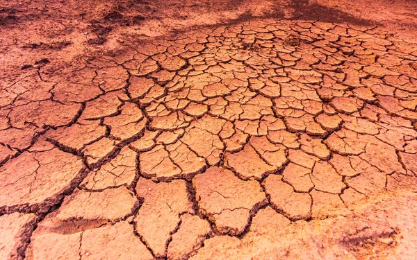 Tibia tierra seca agrietada con cultivos muertos, concepto de cambio climático con calor extremo —  Fotos de Stock