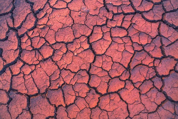 Tierras grietas secas cálidas, concepto de cambio climático con calor extremo —  Fotos de Stock