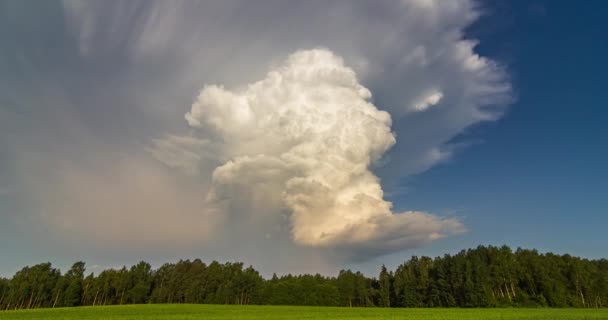 Geïsoleerde onweersbui, witte cumulonimbus wolken rijzen op in de avondlucht — Stockvideo