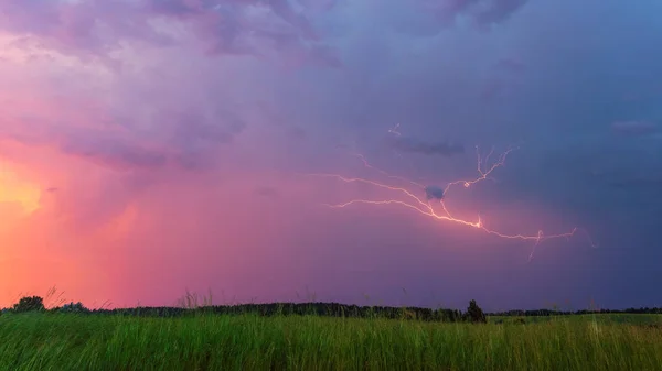 ฟ้าผ่าด้วยแสงสีม่วงที่สวยงามในตอนเช้าฝนสดในภูมิทัศน์ทุ่งฤดูร้อน — ภาพถ่ายสต็อก