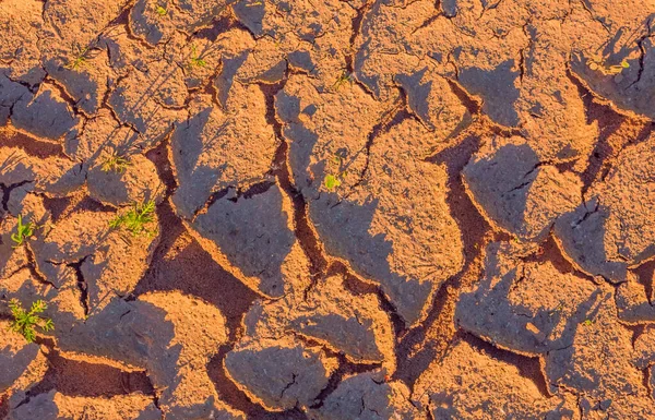 Varm torr sprucken mark, klimatförändringskoncept med extrem värme — Stockfoto