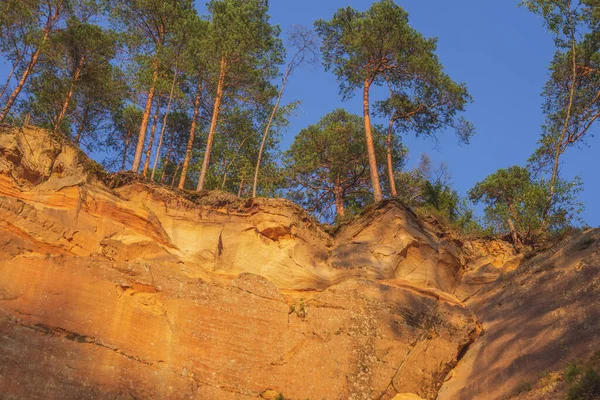 Peaceful landscape with red sandstone Erglu kliffs steep rocks in Gauja National Park in Valmiera area