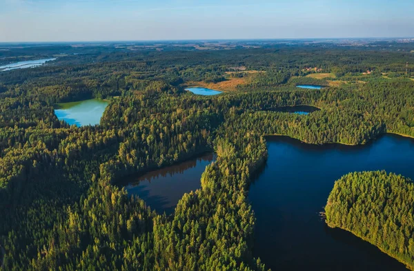 Letecký pohled na divoké lesní jezero v Litvě — Stock fotografie