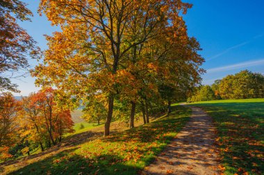 Renkli yaprakların sergilendiği, üzerinde güzel, sakin bir gökyüzü bulunan, gerçekten resimli bir sonbahar sahnesi. Kernave, Litvanya.