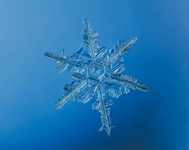 Mavi arka planda doğal kar tanesi kristali.