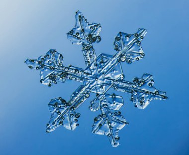 Mavi arka planda doğal kar tanesi kristali.