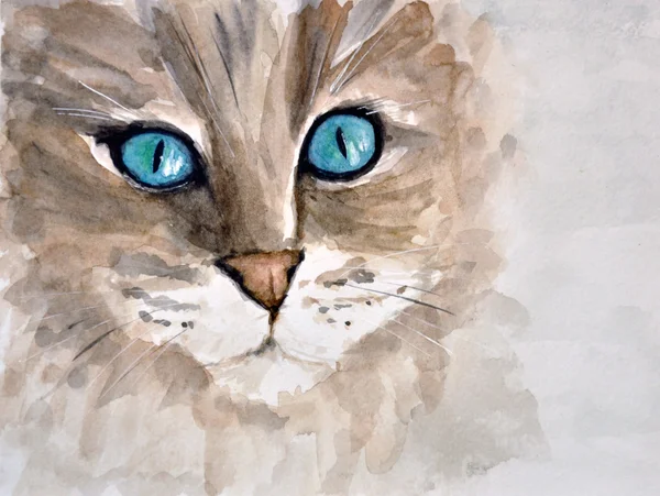 Gato aquarela com olhos azuis — Fotografia de Stock