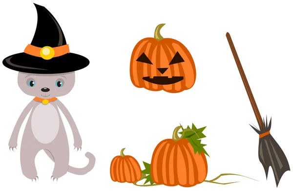 Cadılar Bayramı kedi