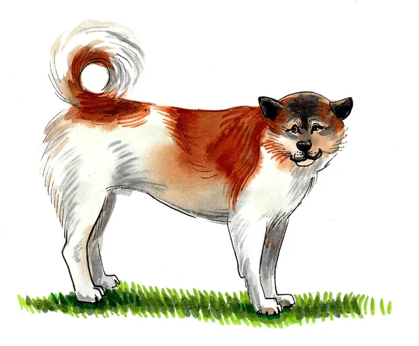 Stor Stående Hund Bläck Och Akvarell Ritning — Stockfoto