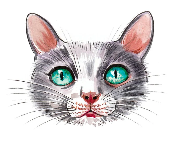 Gato Ojos Verdes Dibujo Tinta Acuarela — Foto de Stock