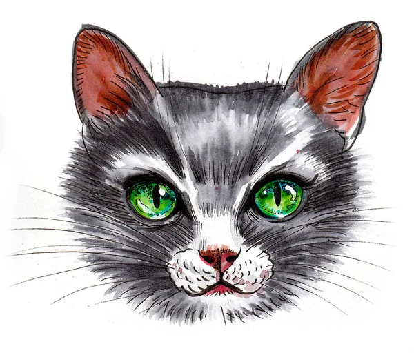 Gato Con Ojos Verdes Dibujo Tinta Acuarela — Foto de Stock