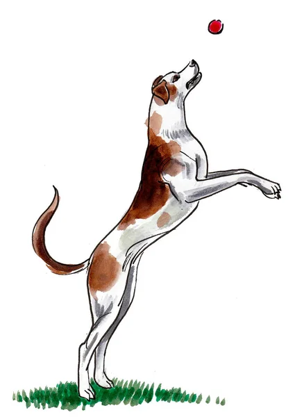 Прыгающая Собака Чернила Акварель — стоковое фото