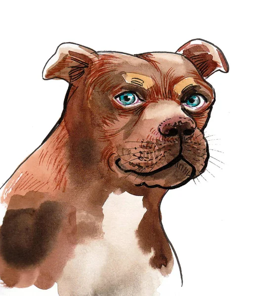 Lindo Bulldog Cachorro Dibujo Tinta Acuarela —  Fotos de Stock