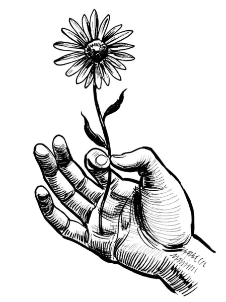Ruka Drží Květinu Černobílá Kresba Inkoustu — Stock fotografie