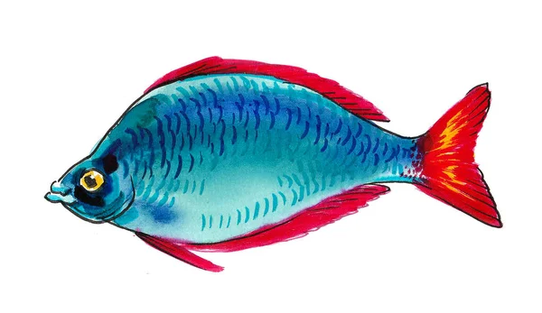 Colorful Tropical Fish Ink Watercolor Drawing — Stock Photo, Image