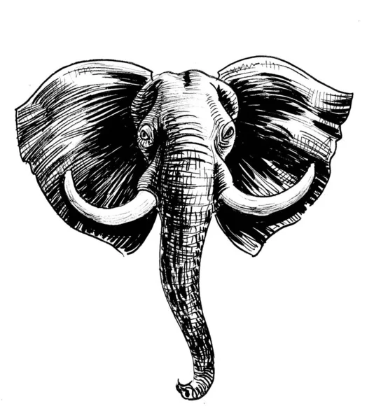 Cabeza Elefante Africano Dibujo Blanco Negro Tinta —  Fotos de Stock