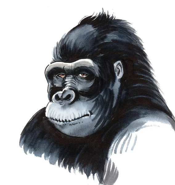 Black Gorilla Face Ink Watercolor Drawing — Stock Photo, Image