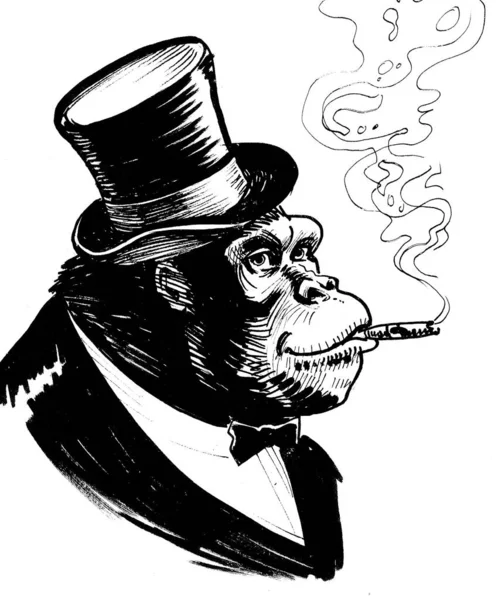 Vip Gorilla Mit Hut Raucht Eine Zigarre Schwarz Weiße Tuschezeichnung — Stockfoto