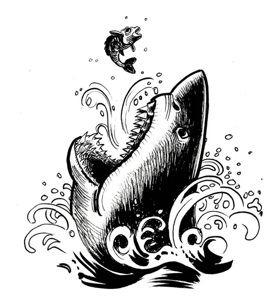 Shark Small Fish Ink Black White Drawing — Stock Photo, Image