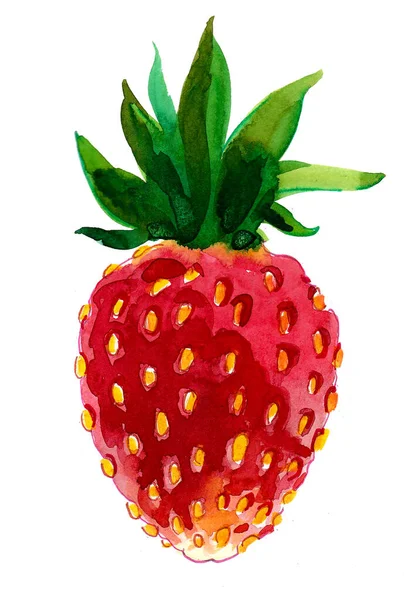 新鲜的红色多汁甜草莓 墨水和水彩画 — 图库照片