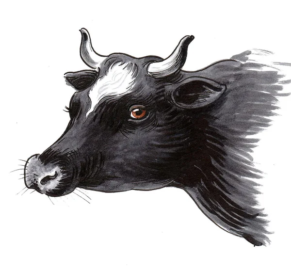 Tête Vache Laitière Dessin Encre Aquarelle — Photo