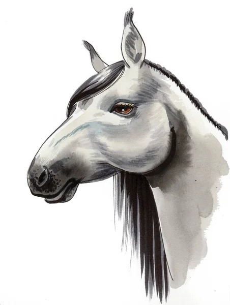 Testa Cavallo Bianca Inchiostro Acquerello Disegno — Foto Stock