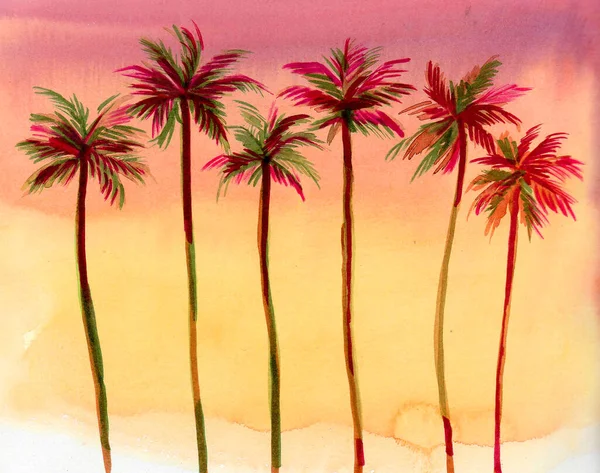Закат Пальмы Чернила Акварель — стоковое фото