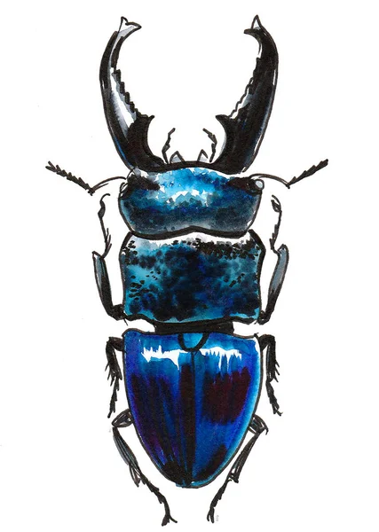 Beautiful Colorful Stag Beetle Ink Watercolor Drawing — Stock Photo, Image