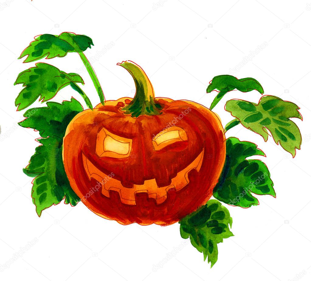 Halloween pumpkin fruit. Ink and watercolor drawing