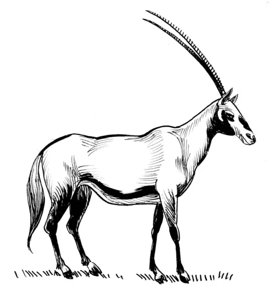 Africká Antilopa Černobílá Kresba Inkoustu — Stock fotografie