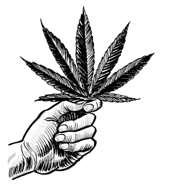 Mão Segurando Folha Cannabis Tinta Desenho Preto Branco — Fotografia de Stock