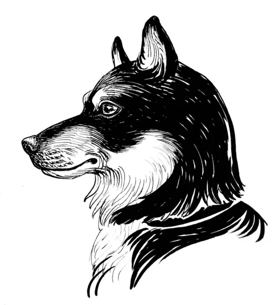 Husky Dog Head Ink Black White Drawing — Stock Photo, Image